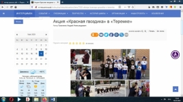 Красная гвоздика 2019г.